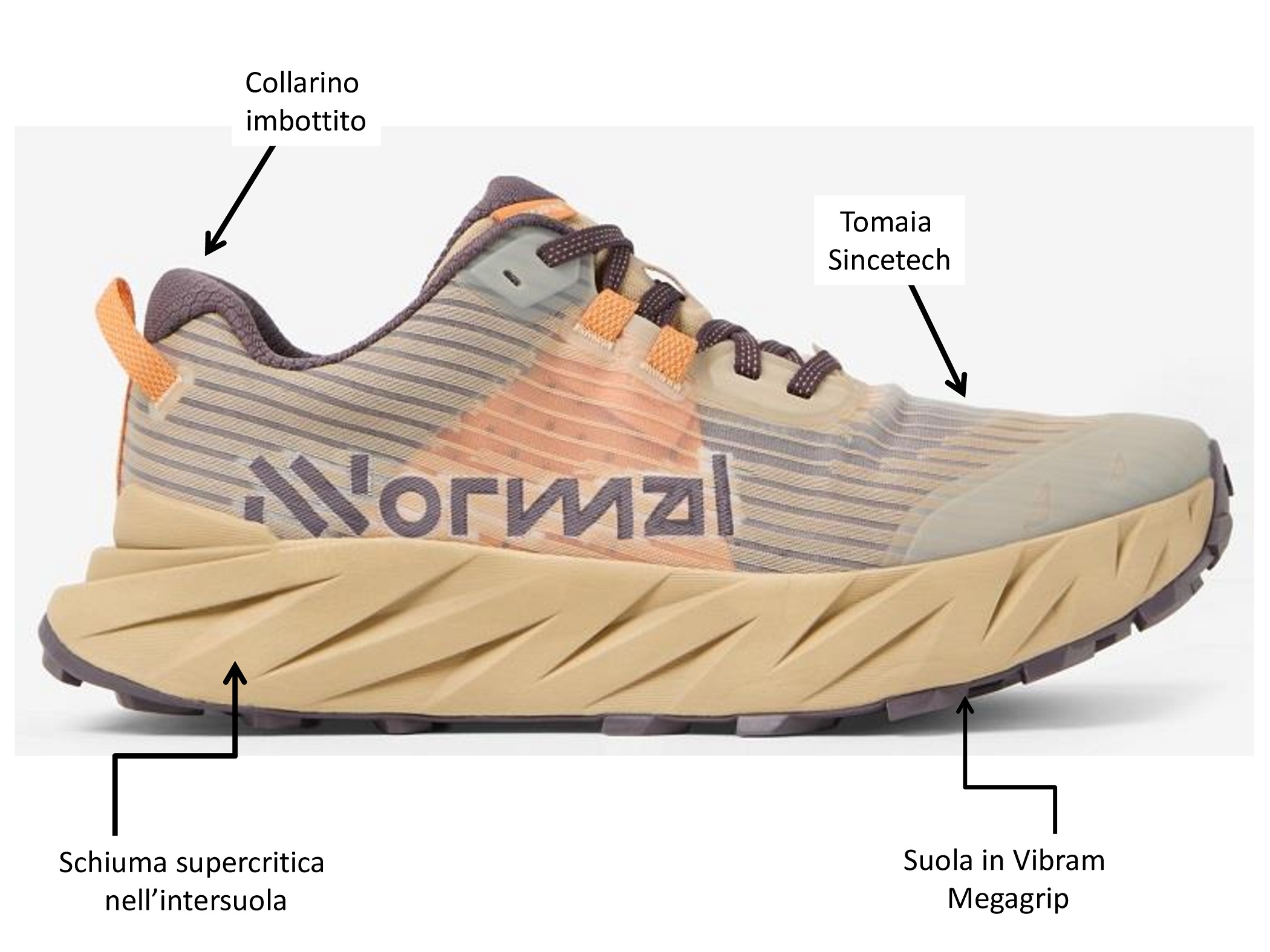 Presentazione standard1