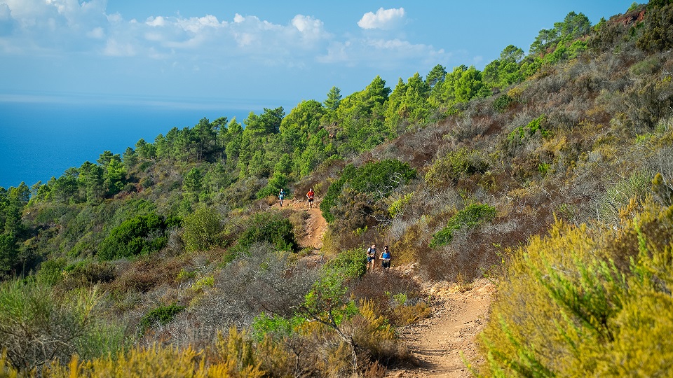 Elba Legend Run 2026 13 Mattia Spinetti